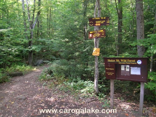 Kane Mountain Fire Tower Trail 02