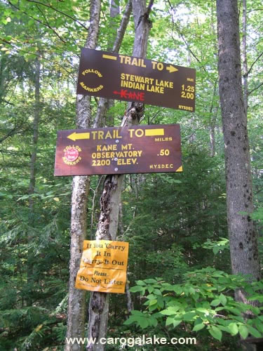 Kane Mountain Fire Tower Trail 03