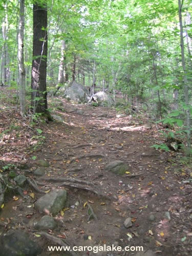 Kane Mountain Fire Tower Trail 04