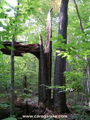 Kane Mountain Fire Tower Trail 05