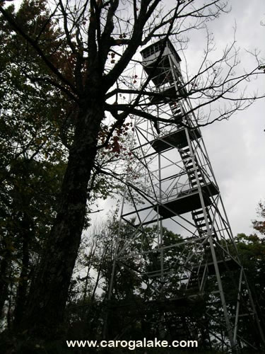 Kane Mountain Fire Tower Trail 38
