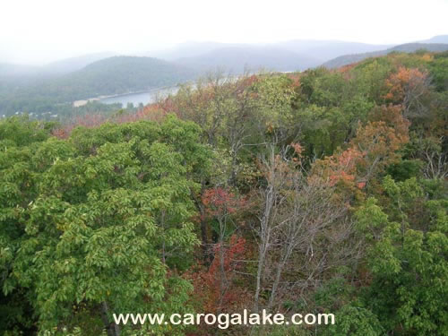 Kane Mountain Fire Tower Trail 43