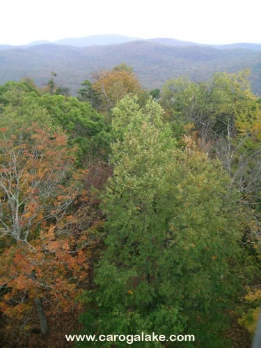 Kane Mountain Fire Tower Trail 46