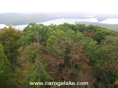 Kane Mountain Fire Tower Trail 47