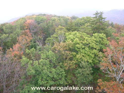 Kane Mountain Fire Tower Trail 49
