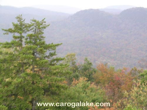 Kane Mountain Fire Tower Trail 51
