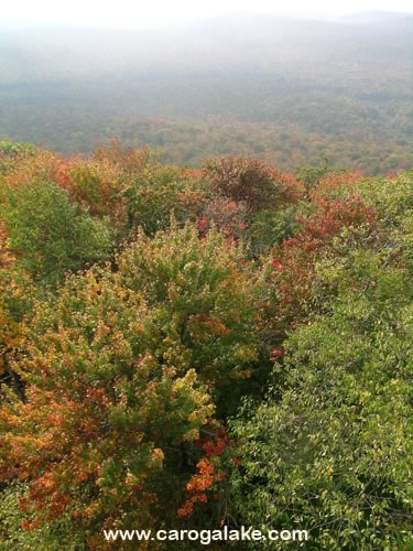 Kane Mountain Fire Tower Trail 70