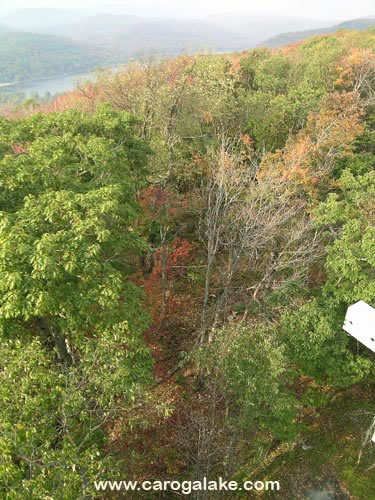 Kane Mountain Fire Tower Trail 71
