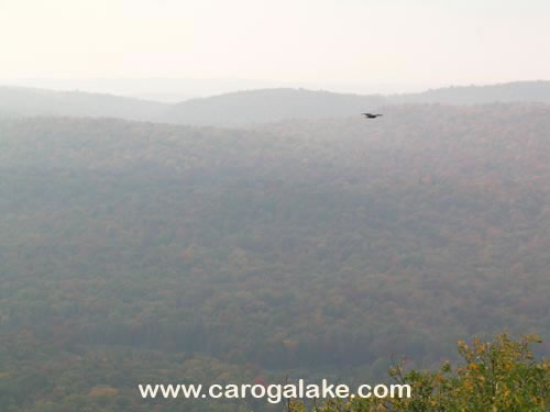 Kane Mountain Fire Tower Trail 86